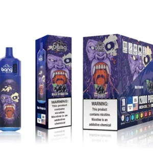 Bang Box 12000 Puffs 0% 2% 3% 5% Nikotynowy akumulator jednorazowy Vape Hurt - BeerVape - 17