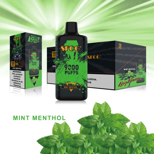 SFOG BIG BANG 9000 Puffs 0% 2% 3% 5% Nikotynowe akumulatory jednorazowe Vapes Pen Luzem Kup hurtowo - BeerVape - 2
